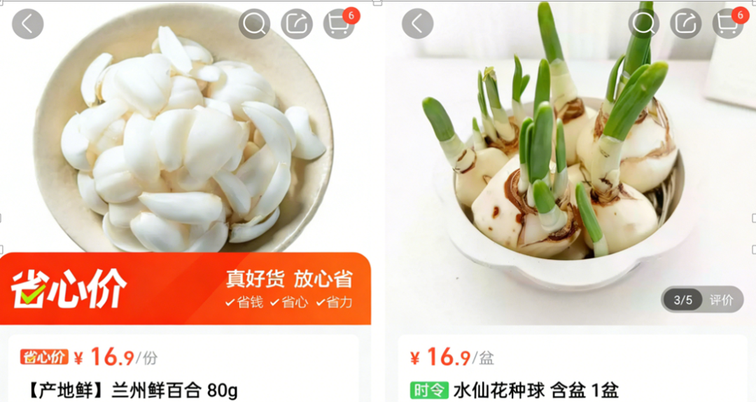 鲜百合误送成水仙球致祖孙中毒, 盒马致歉