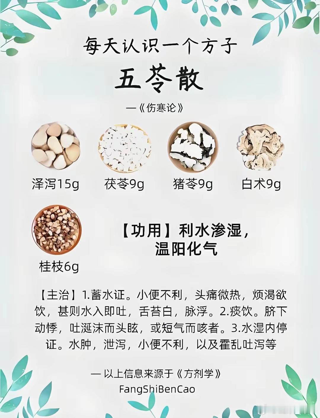五苓散，一个被严重低估的经方！人体有一套非常精密的运行系统，不仅不会照书生病，还