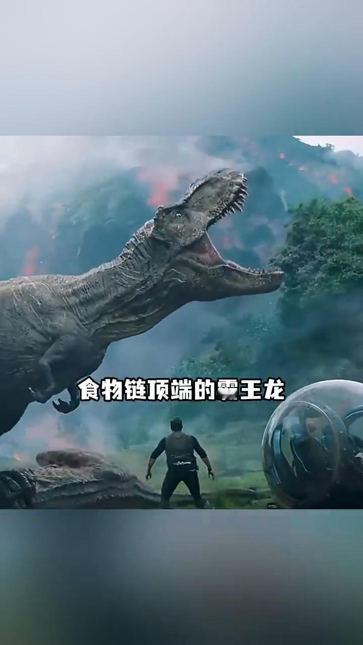 你是不是也好奇过霸王龙看似滑稽的短小前肢到底有什么作用？作为白垩纪时期食物链顶端