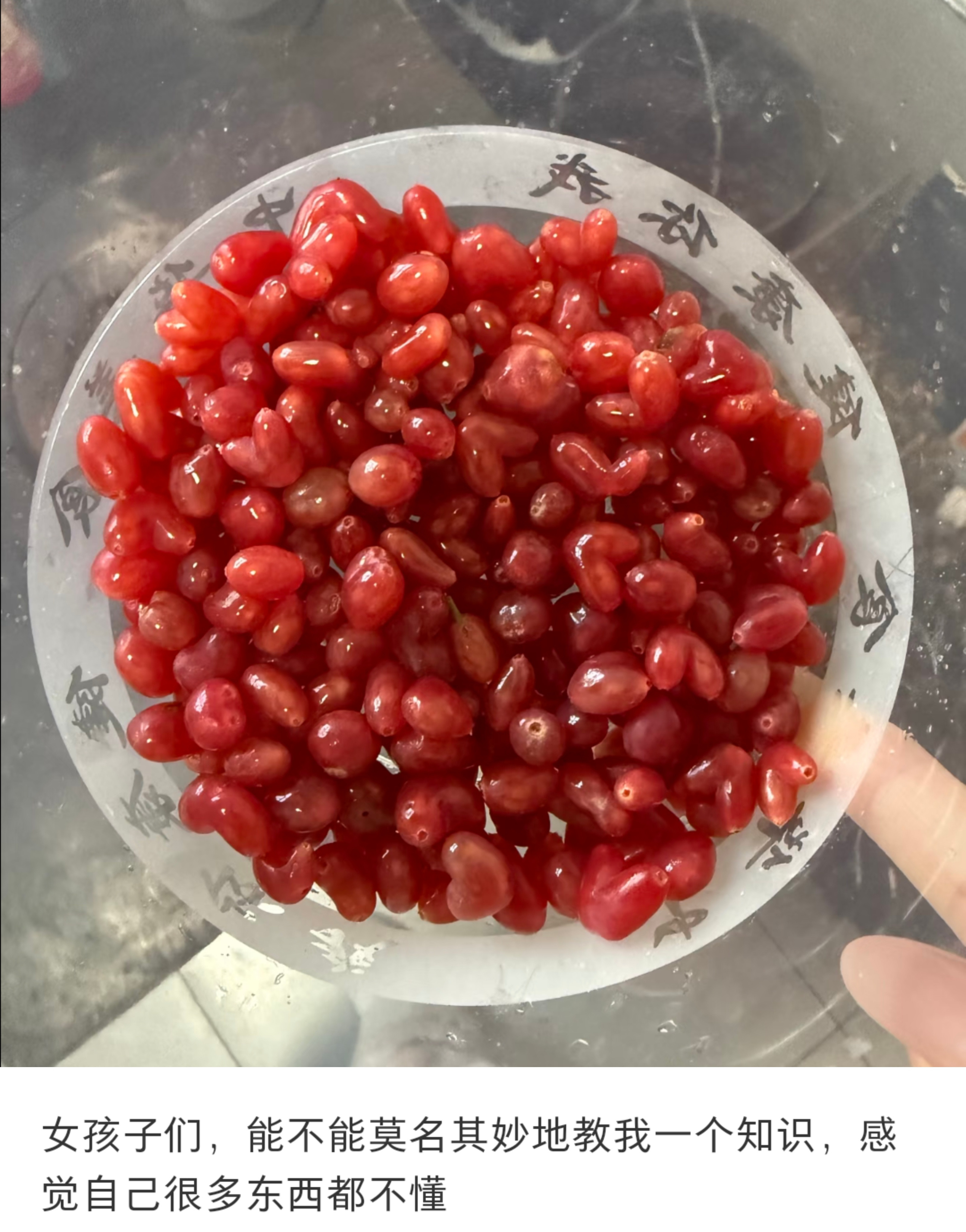 一些探索世界成为小大人的常识tips: