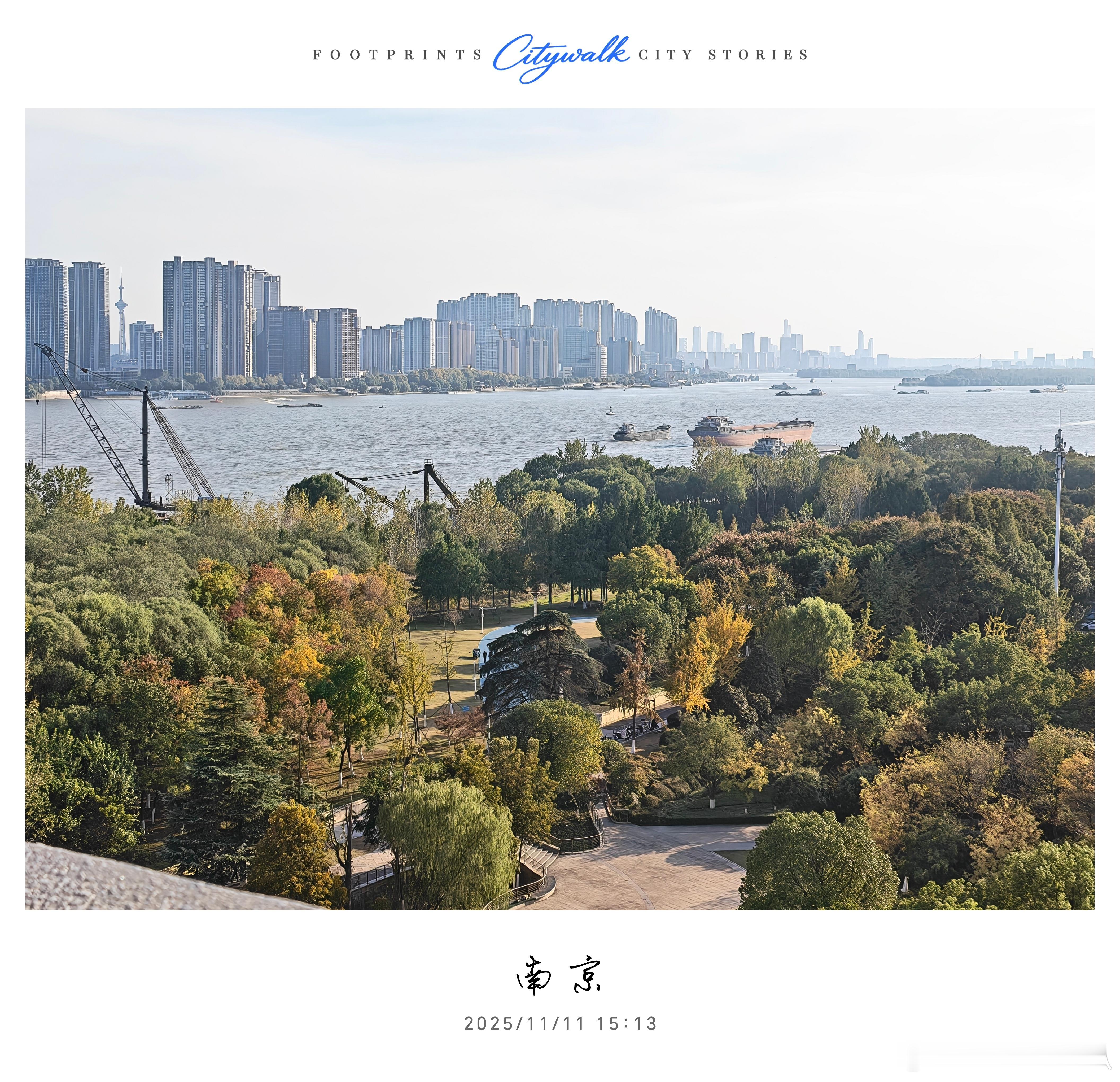 这次荣耀Magic8的长焦真的太强了！周末没事溜达了下，感受下荣耀Magic8标