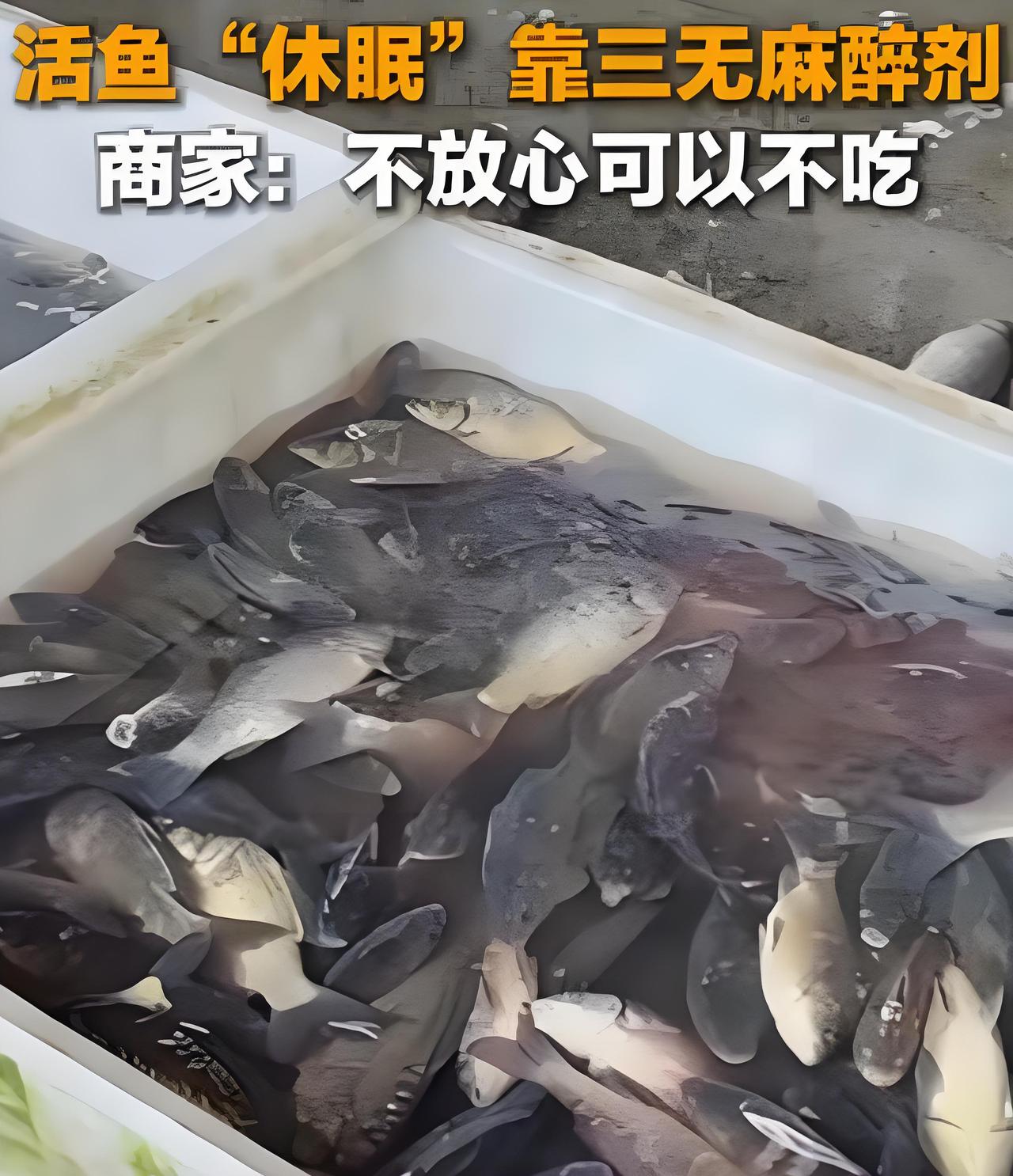 太恶心了，央媒曝光活鱼内幕！3月23日，据央媒报道，中国多地水产市场为方便运