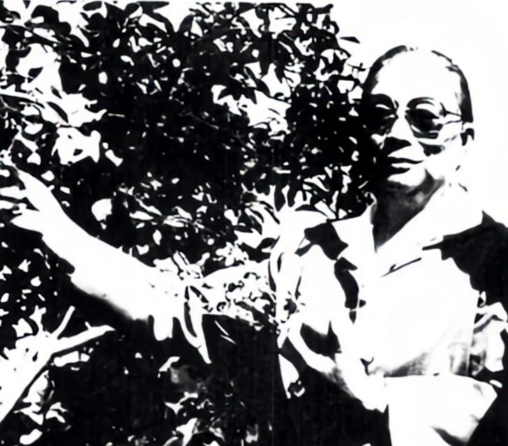 1980年，广东省委书记李坚真出访罗马尼亚，并参观了当地的果园。这次出访发生在中