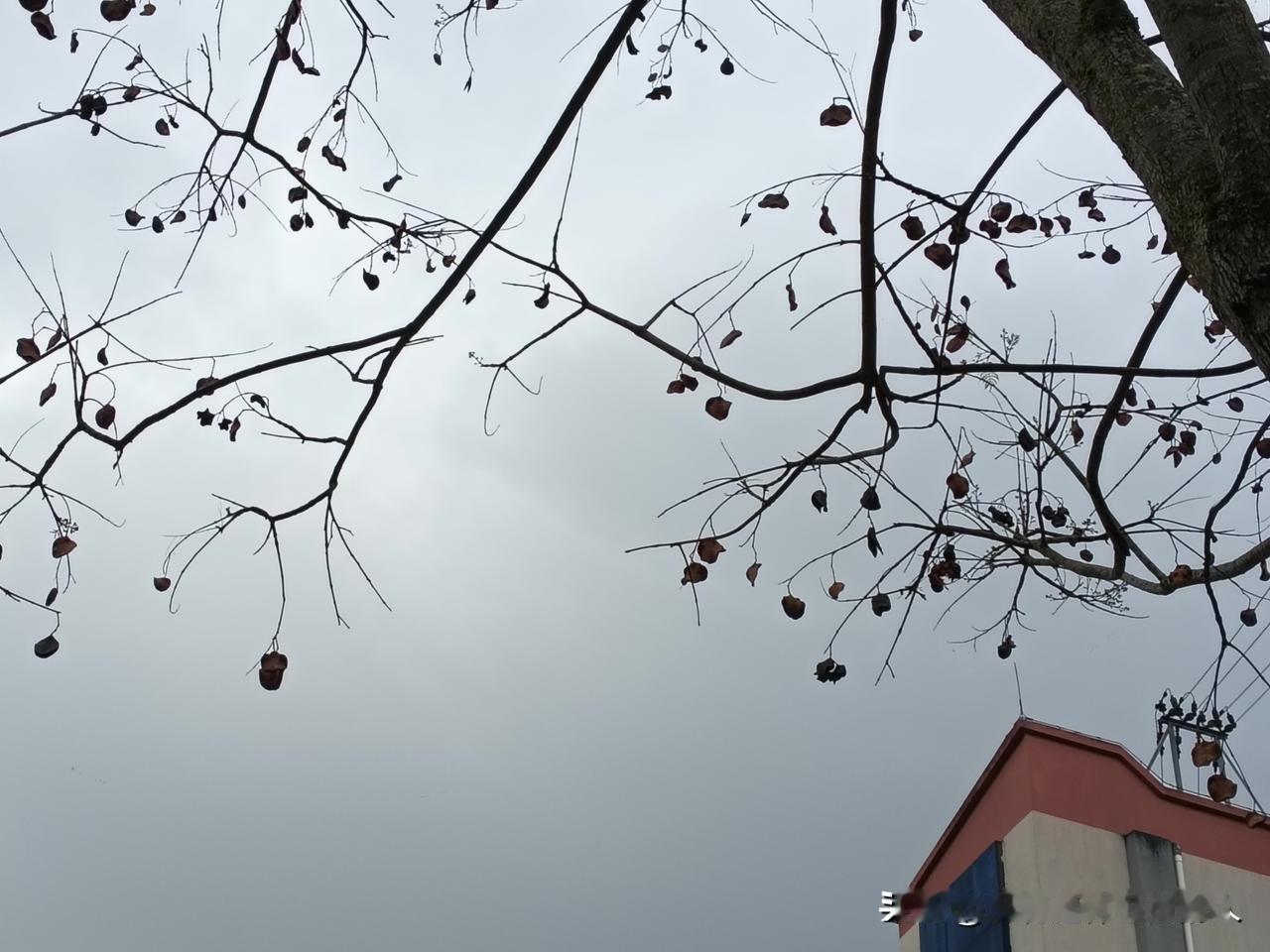 这样的装修，到底该不该拆掉？冮苏南通，一家网络公司向房东租了毛坯房。当时合同