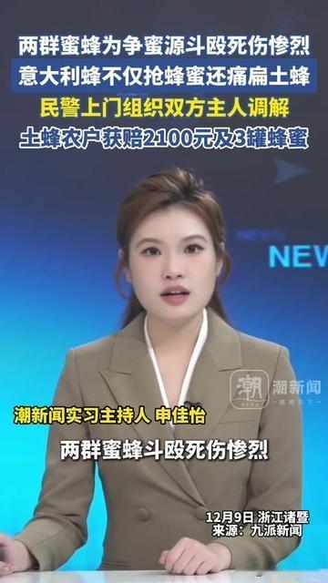 活这么大第一次见！蜜蜂打架居然要报警？两群蜂为抢蜜源打疯了，意大利蜂不仅