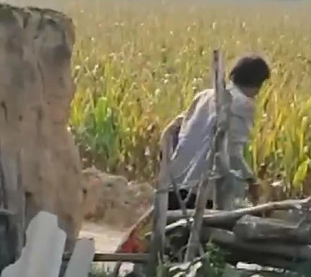 太震怒了！1月21日陕西榆林，75岁的王某飞因妻子偷玉米被侄女姬某利拍摄，争执