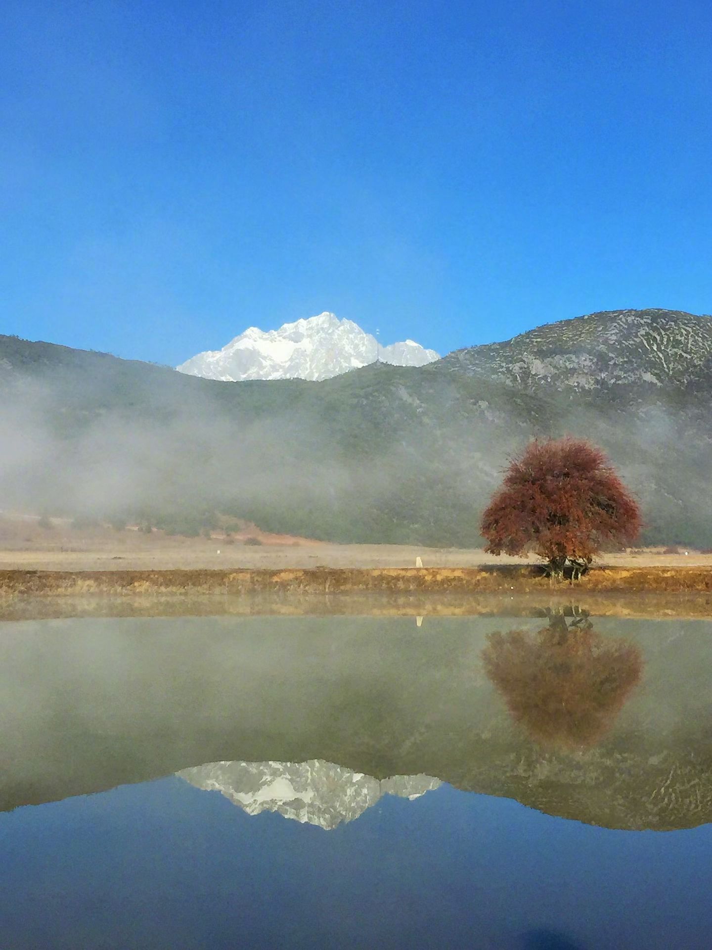 任何时候，人的生命都不能被某种思想和看法所占据。反而，人只能被当下的感受和体验所