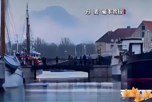 原来是早有预谋，丹麦防不胜防！这美国人现在的吃相，真是越来越难看了。1月20