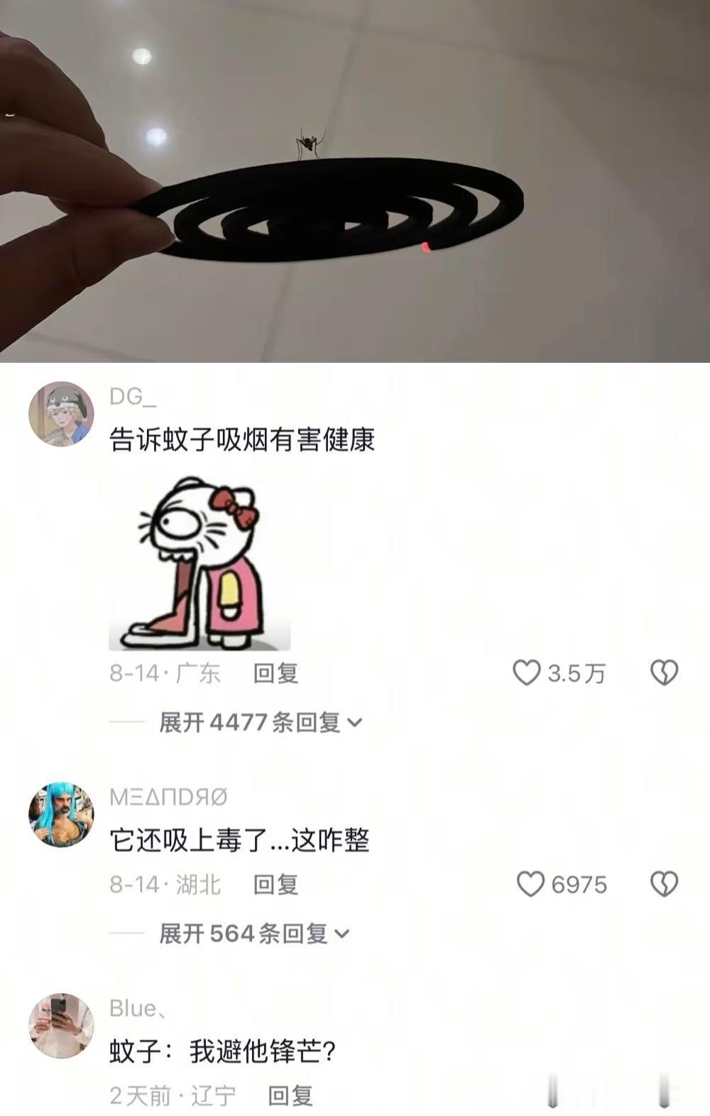 我就说蚊香就是蚊子的香薰吧[吐舌头眯眼睛笑]​​​
