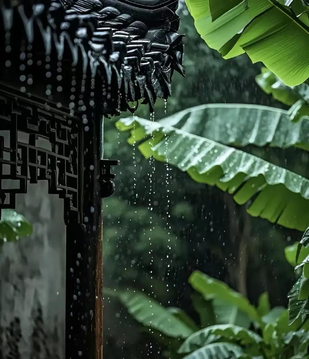 端午下雨是吉是凶？老农谚语揭秘，句句藏着天气密码！端午佳节，粽叶飘香，可窗外这