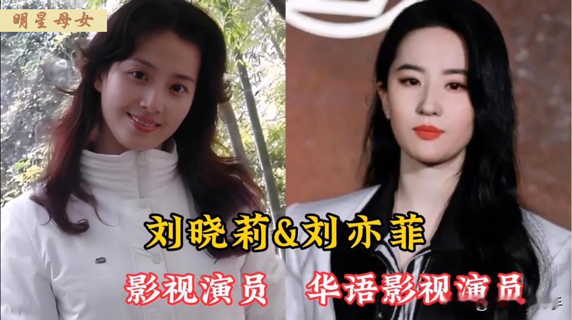 颜值都很高的18对明星母女同框，妈妈美还是女儿美？刘晓莉和女儿刘亦菲，妈妈是