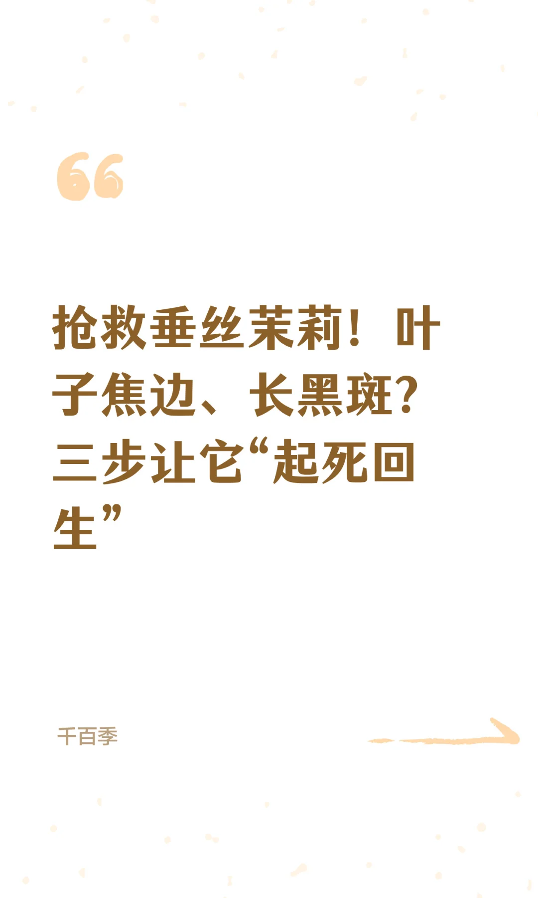 抢救垂丝茉莉！三步让它“起死回生”！