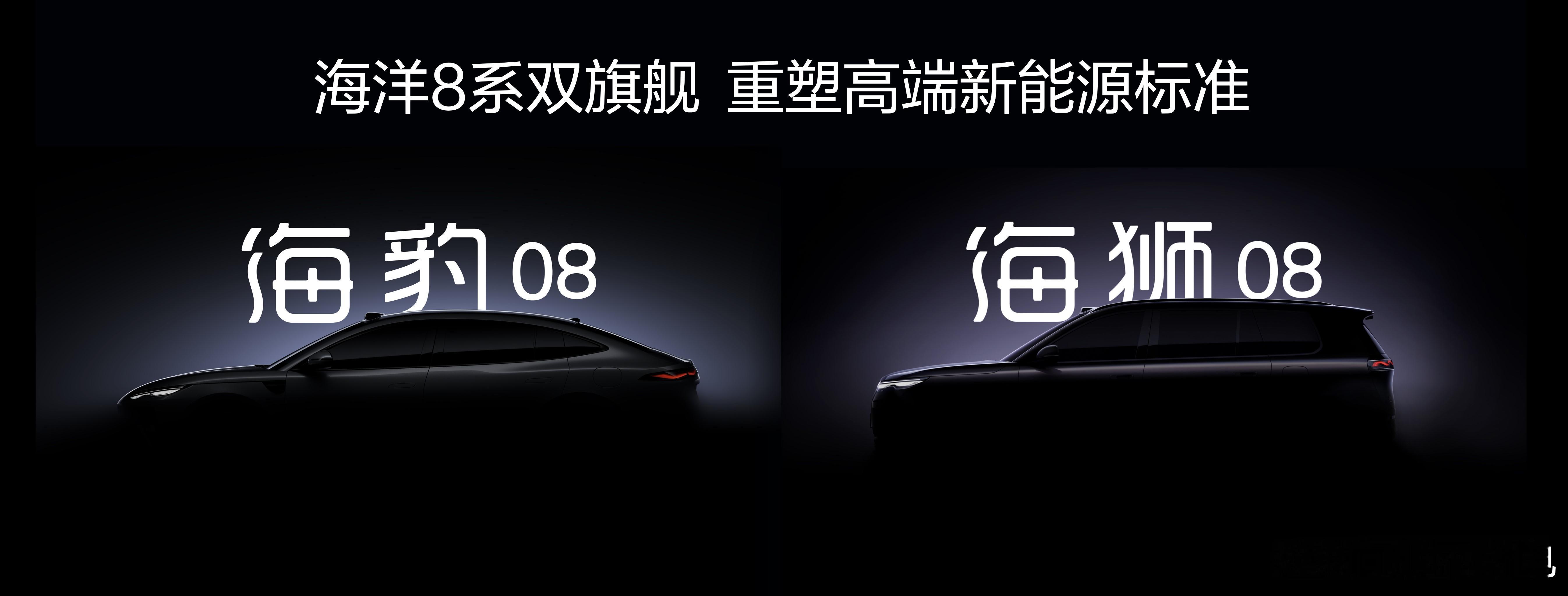 昨天很多人私信问我，咋说呢现在能透露的确实不多①海豹&海狮08是海洋网真旗舰