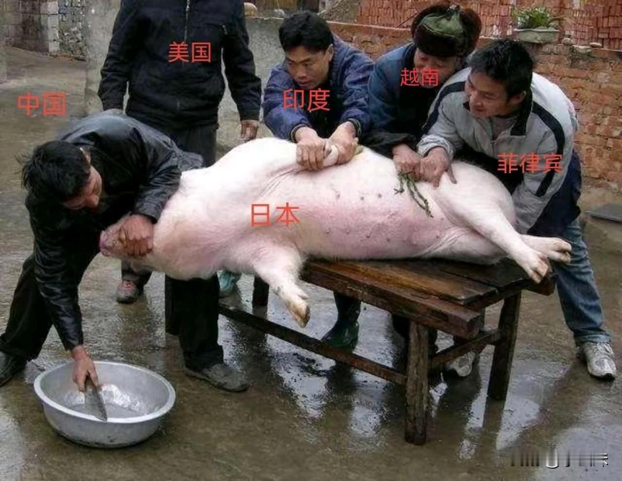 中日局势，暗流涌动。有人观望，有人拱火。