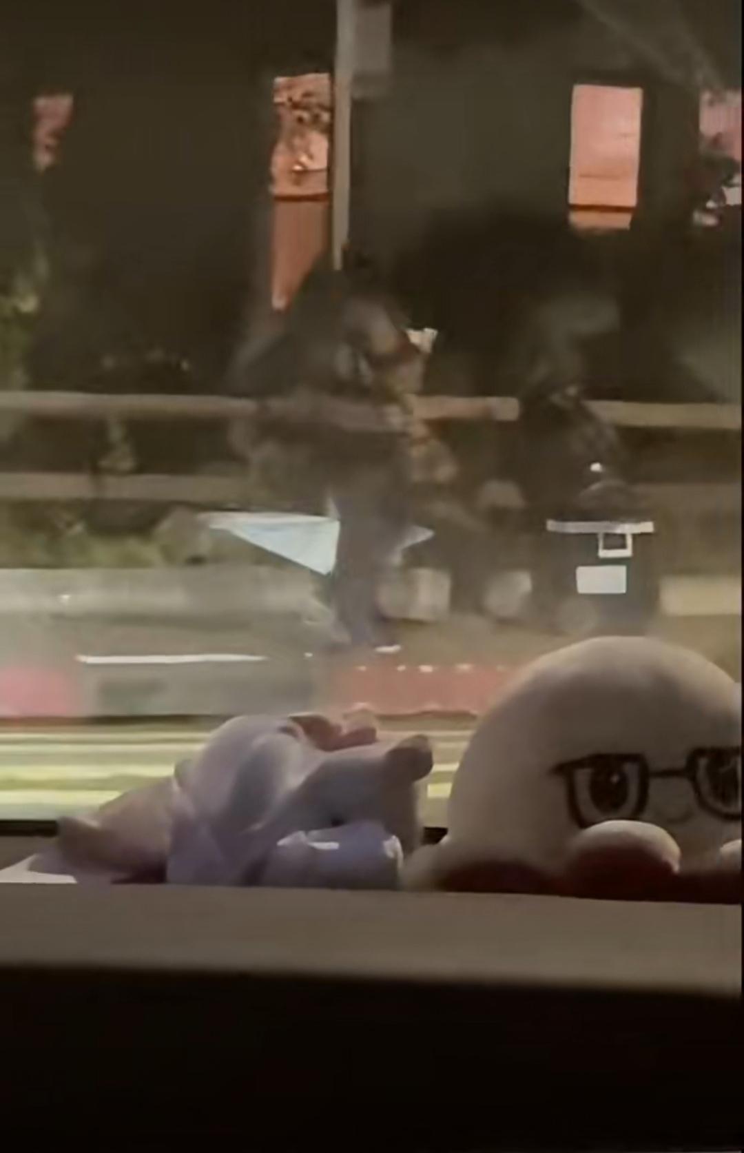 甜甜圈还能活到今天的原因找到了，在学校附近，一直有女留学生在给他吃的和钱物。一