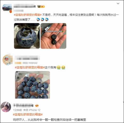 这个热搜, 爱吃蓝莓的人不淡定了
