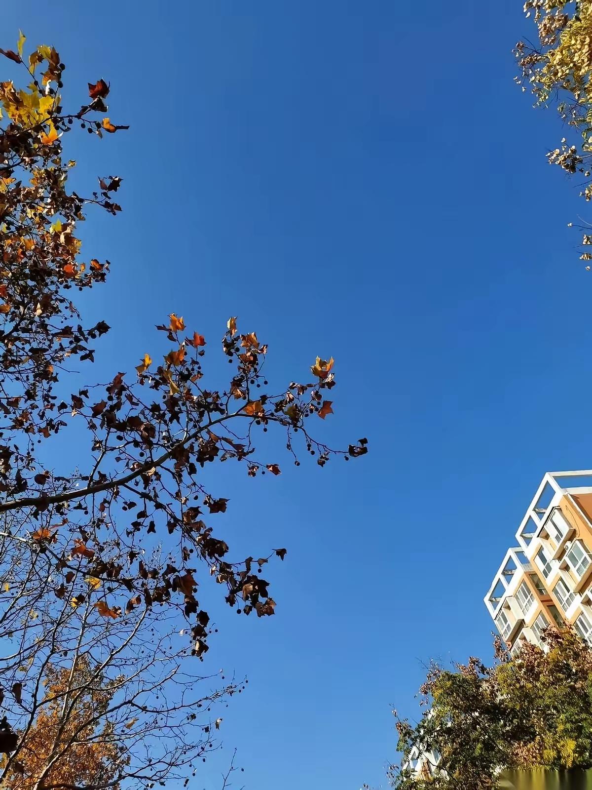 我女儿的体检报告一出来，我感觉天都要塌了！26岁，刚工作两年的小姑娘，甲状腺结节