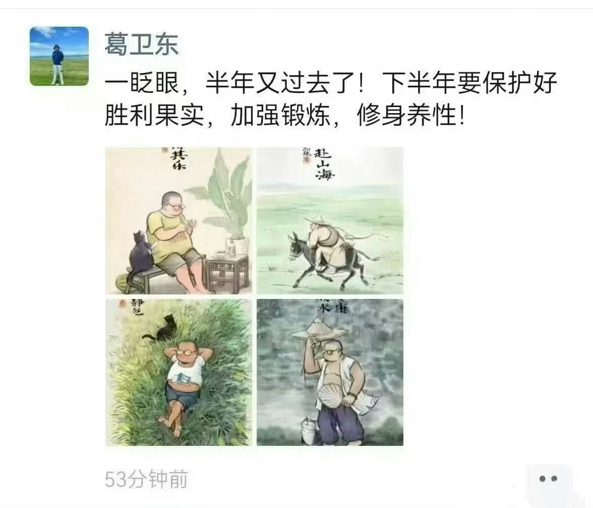 葛卫东辟谣他7月1日朋友圈的意思，不是清仓休息，还特意强调了没减仓科技龙头哈哈