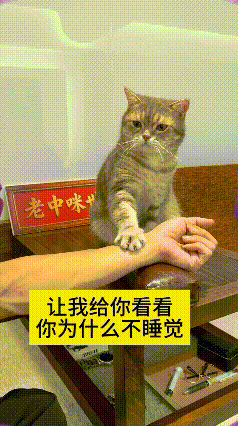 这个视频我看了好几遍，实在是太有意思了。小猫往桌子上面一蹲，主人把把脉的小枕头摆