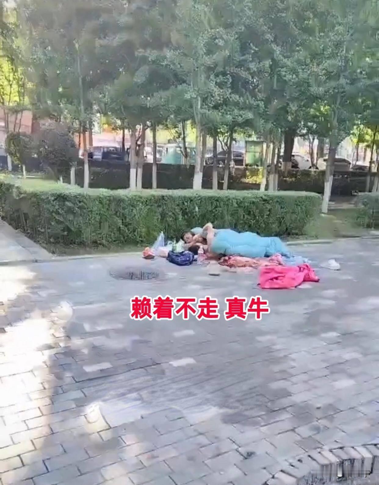 这是遇到什么难处了？通辽一名男子和女子在公园里打地铺据知情人士透露俩人已经在
