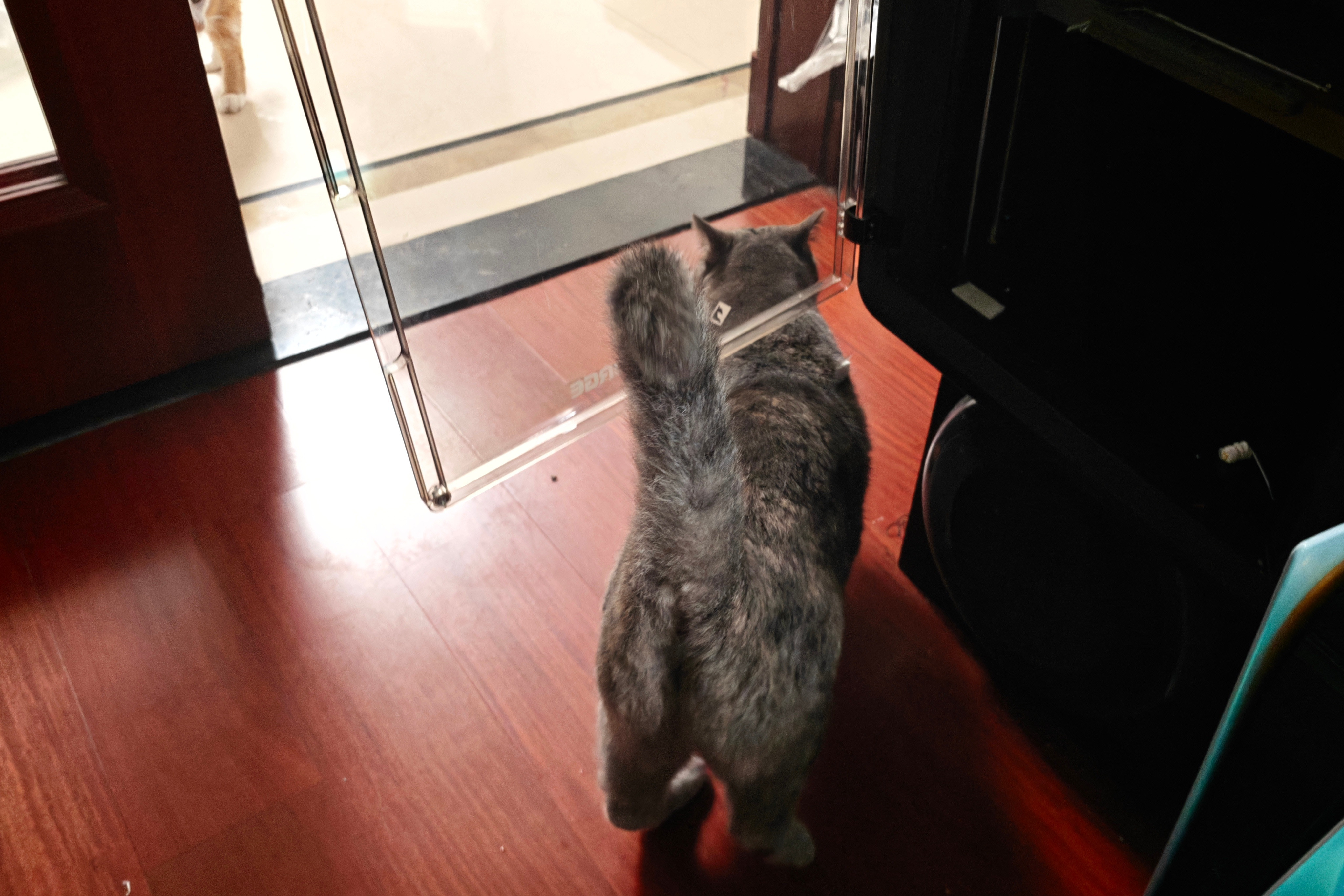 不知道你们有没有感受到啊，有些时候和父母交流有的时候真的难度好大。要去乡下扫墓，