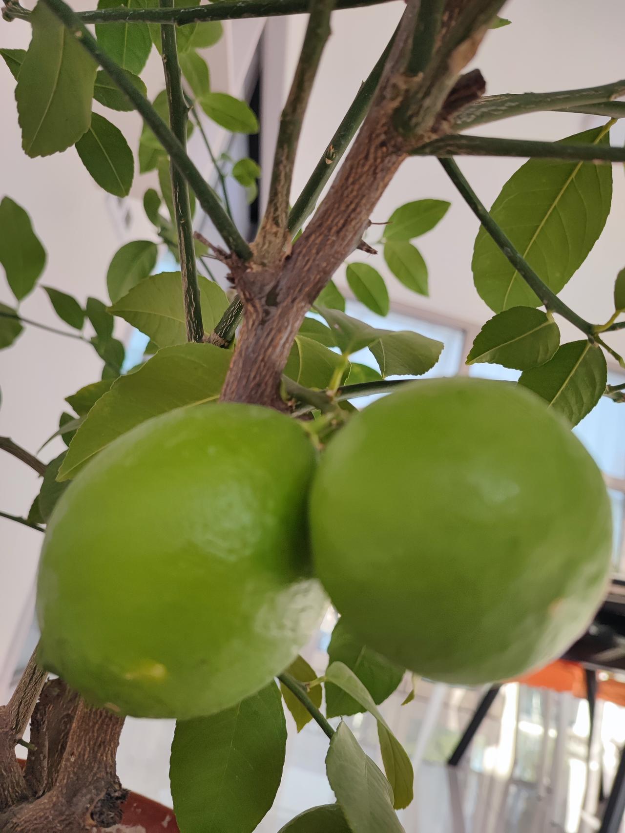 昨晚和姑娘说话，姑娘十二点才回复，姑娘说公司双十一直播那，她得盯着直播间，