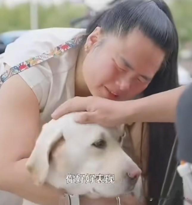 导盲犬芬迪到底有没有被接走？有细心的网友发现了4个疑点！第一、芬迪被接走只有