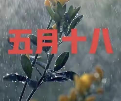 “不怕五月十八雨，就怕五月十八晴”，明日五月十八，下雨啥说法明天就是农历五