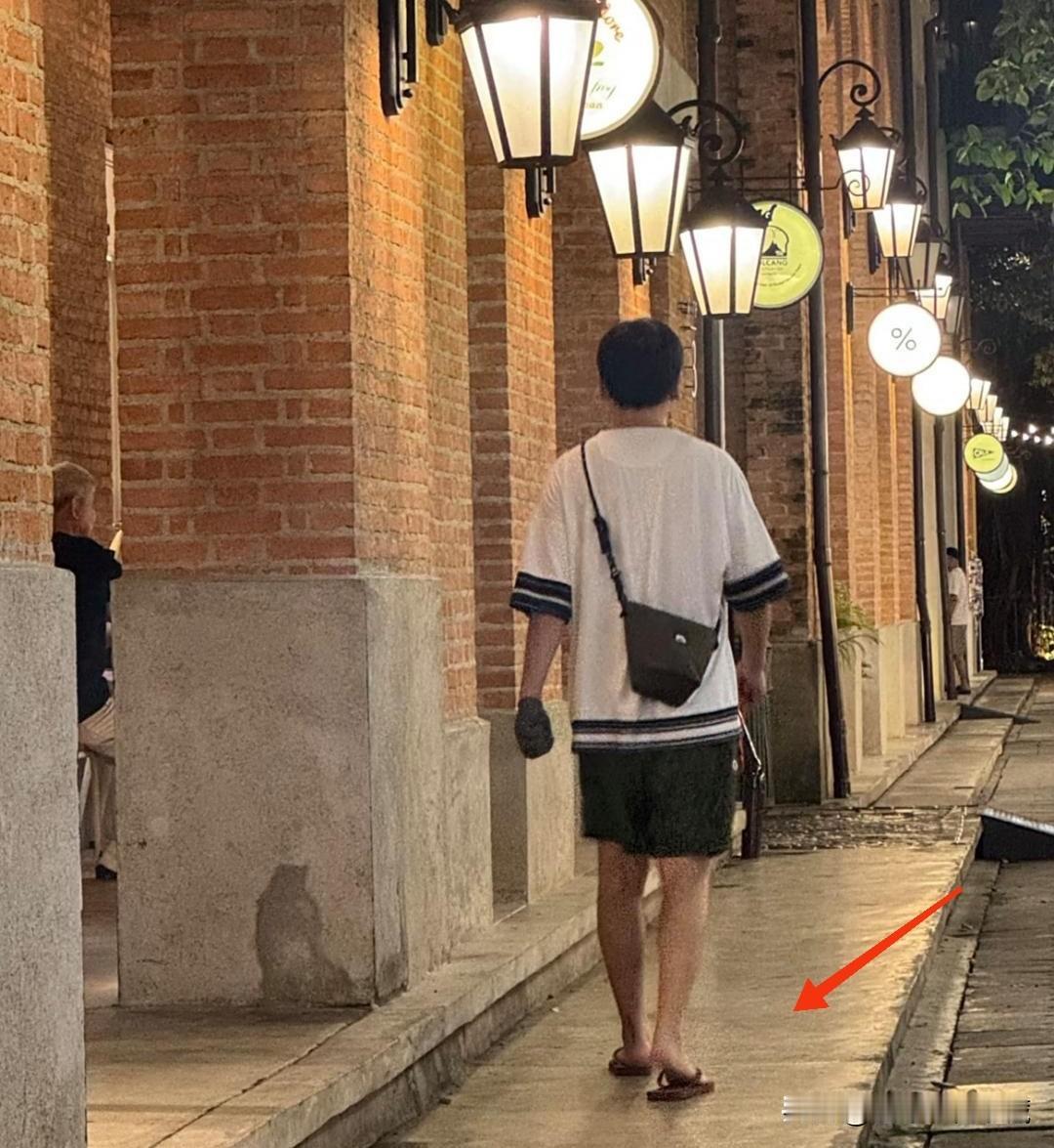 近日，借着国庆假期现身泰国旅游的雷佳音逛夜市被网友偶遇，雷佳音一向喜欢那种无拘无