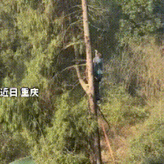 万万没想到！重庆，一位43岁的哥哥，至今单身，离异3年，人老实本分，不抽烟不喝酒