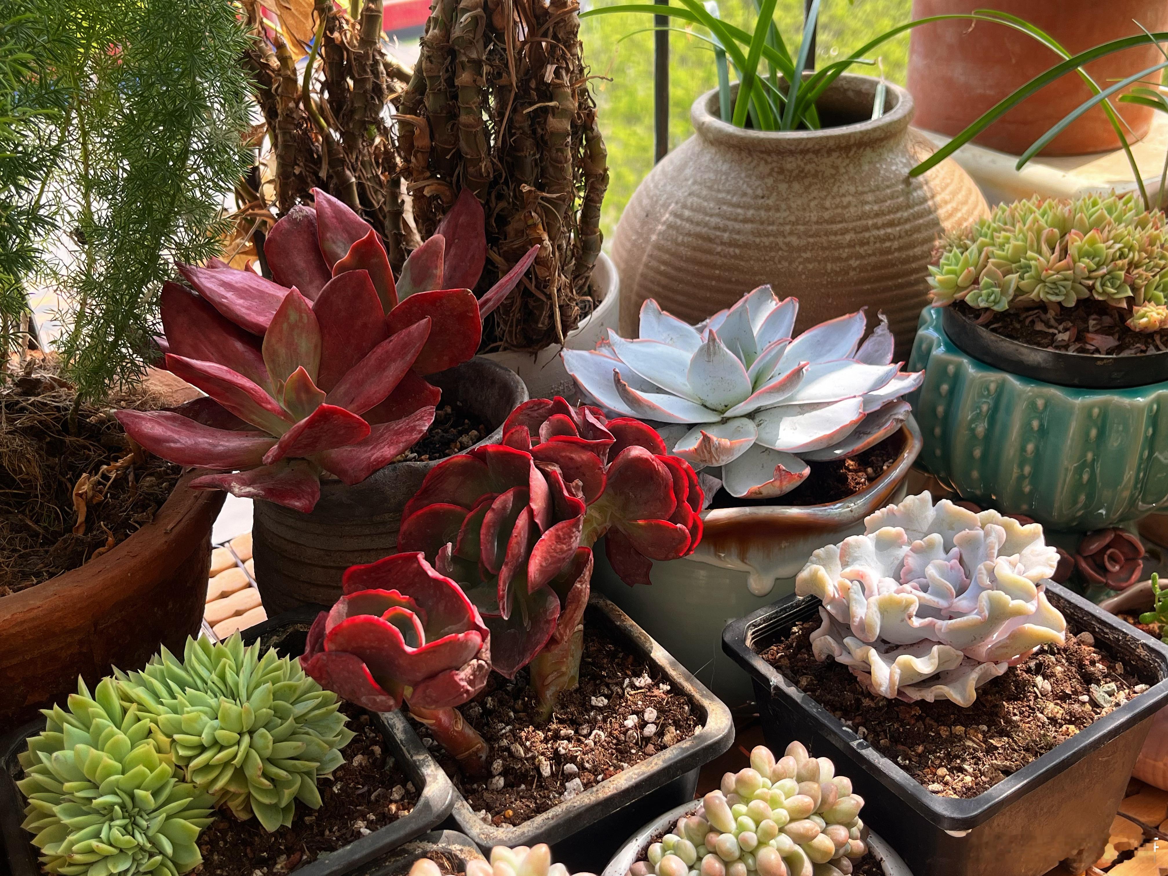 总该疯狂的迷恋着什么这样日子才有奔头