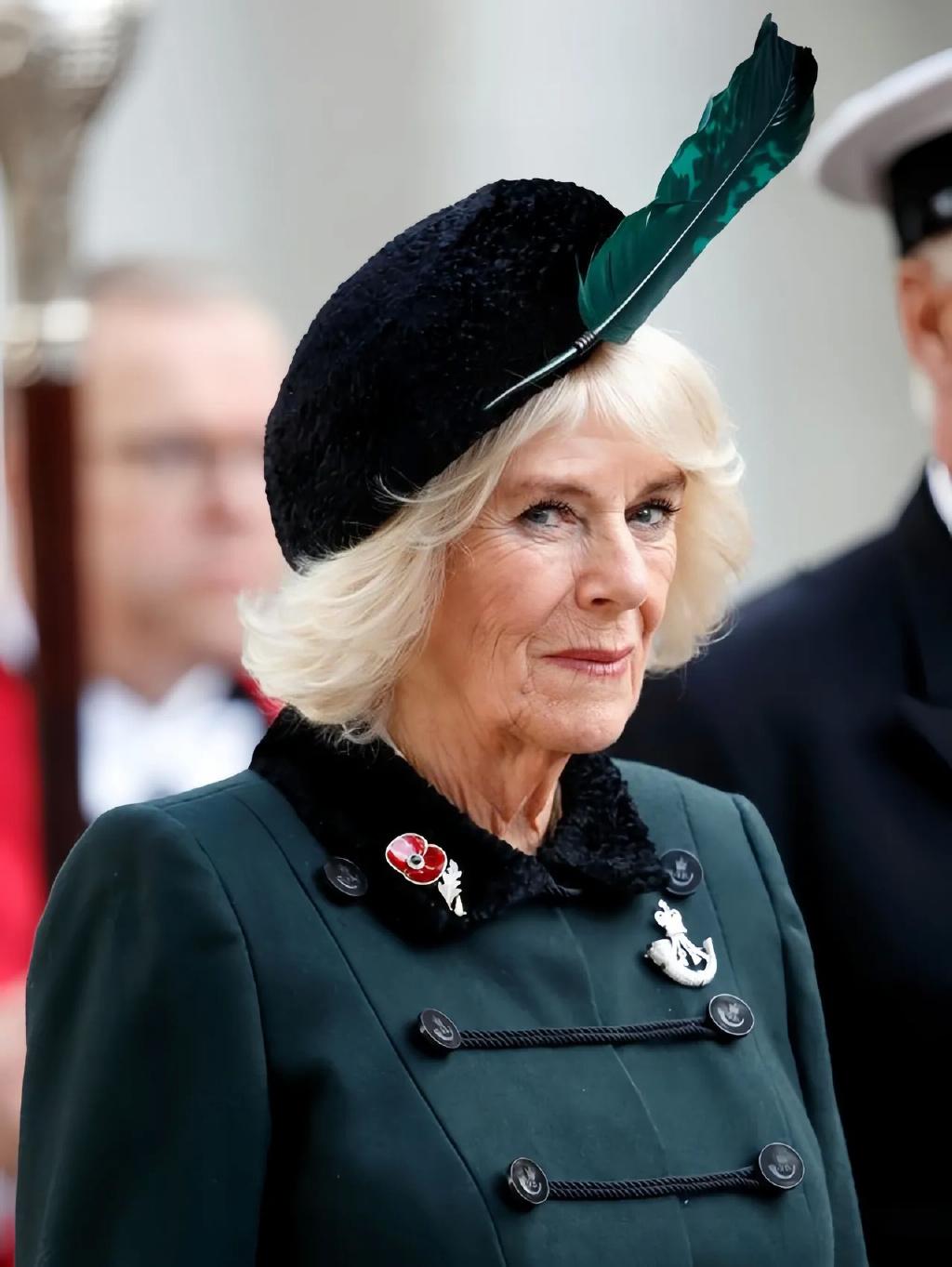 卡米拉的儿子汤姆才是真命天子，查尔斯三世应该给这位美食评论家尊贵的封号，以确保君