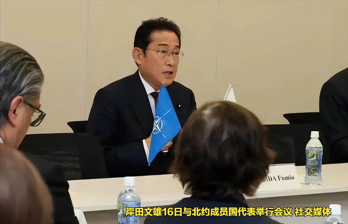 日本前首相岸田文雄16日在会见正在访问日本的北约成员国代表时告诉他们，“今日乌克