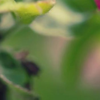 正能量记住，只要你不靠别人活，只要你没吃别人的用别人的，只要你在靠自己活，你就可