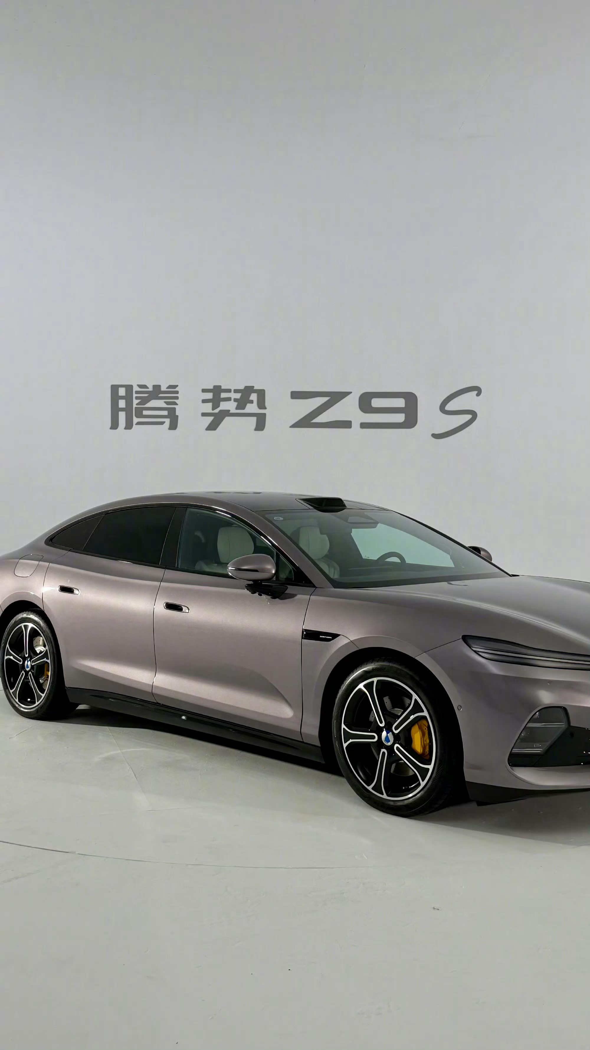 市场上大家都在不断拉长车身做大车，腾势Z9S反倒选择精简车身尺寸。车长...