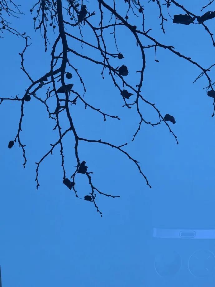 真正厉害的人，只靠三样：一是嘴严。不该说的绝不多言，别人的事不打听，