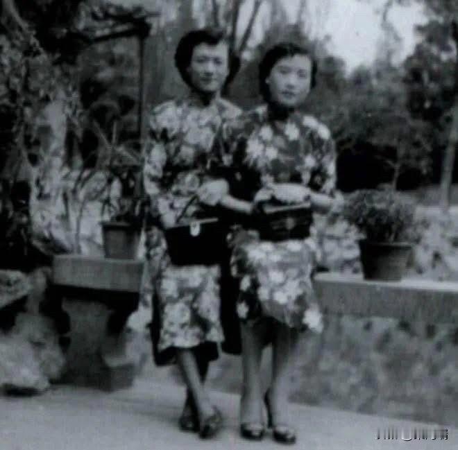 1950年初，上海雁荡路88弄住着两位小姐，她们白天是姐妹，晚上是夫妻。要不是一