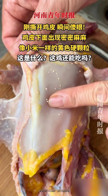 “活久见！”9日报道，河北一女子在菜市场里买了一只现杀的活鸡，谁知拿回家之后正准