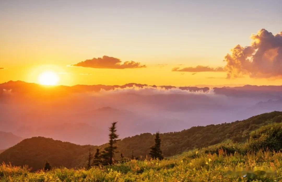 一句道尽世情真相的话：“极致的节俭背后，​​往往不是贫穷，而是一种深刻的不安全感