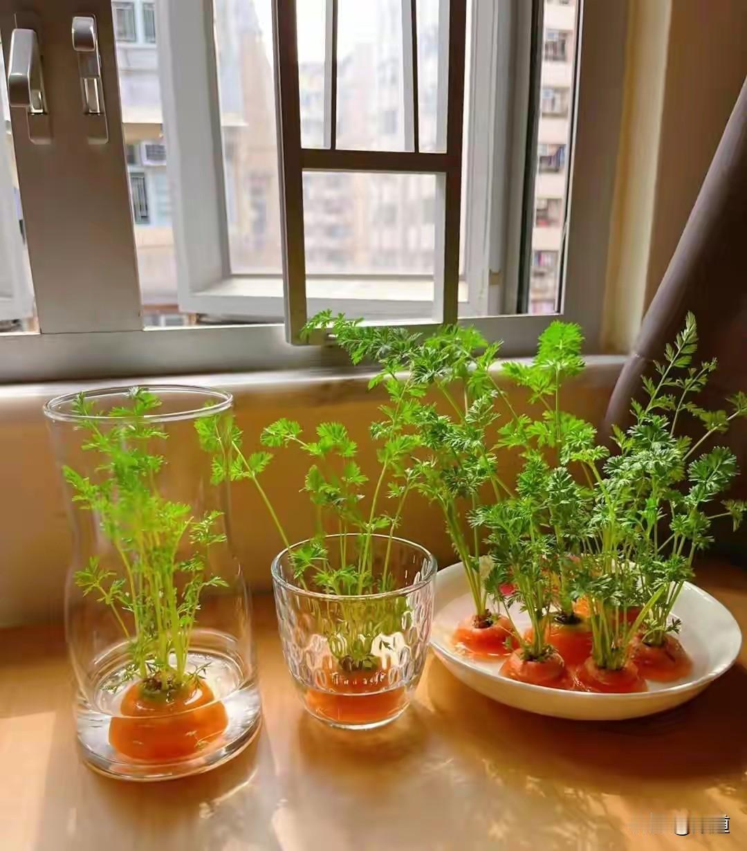 被一条评逗笑了，却又深有感触。我们单位医护一到春节都抢着值班，就为了不去婆婆家