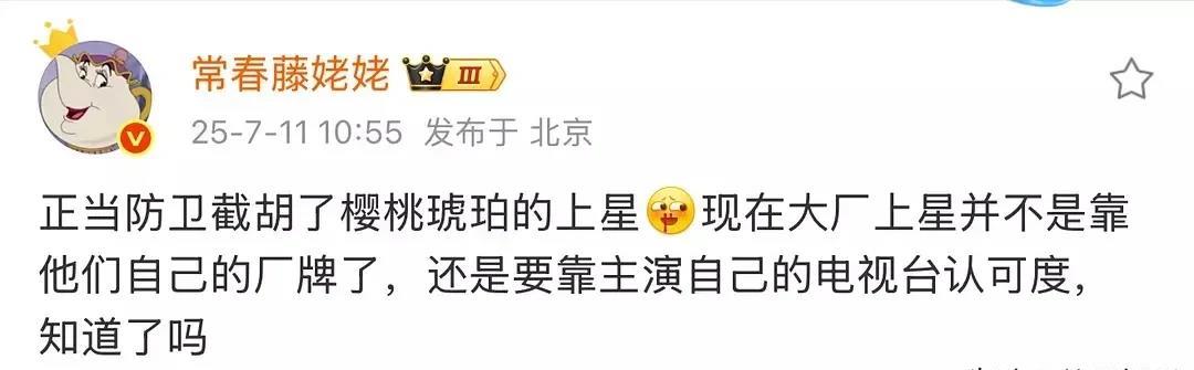 张凌赫赵今麦被“退货”粉丝都迷信大厂制作，结果正午阳光的《樱桃琥珀》被