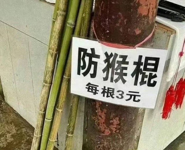无论是哪只猴见一次打一次​​​
