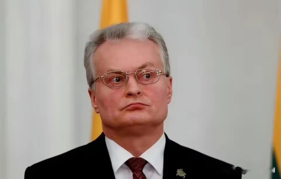 风电和光伏项目连续受挫后，立陶宛考虑和中方洽谈，给中企一次机会！谁能想到，