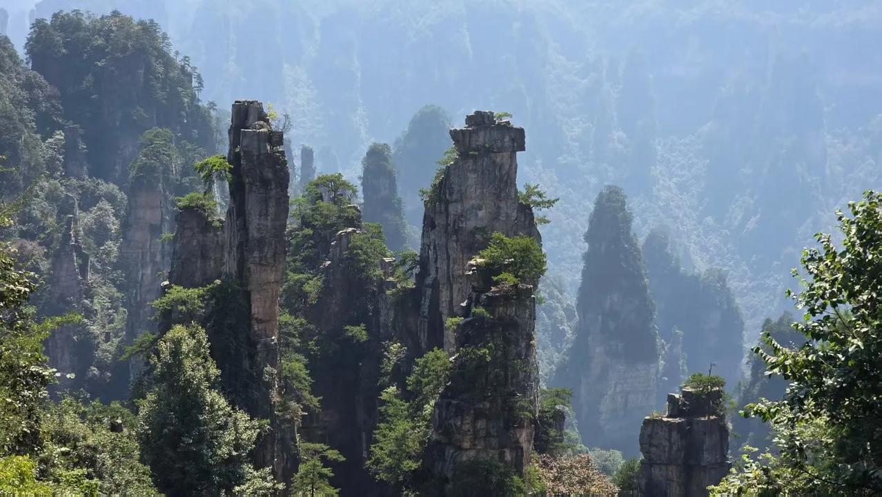 骊山旅友快乐行、湖南张家界：张家界的峰林地貌是大自然的鬼斧神工，每一处石柱