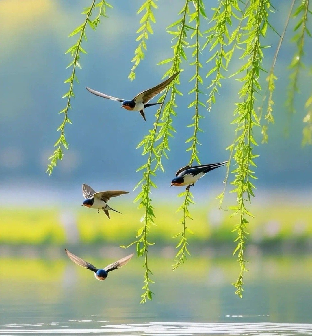 炒股赚钱：反着来，才容易赚真正会炒股的，都懂周期、会反向布局。