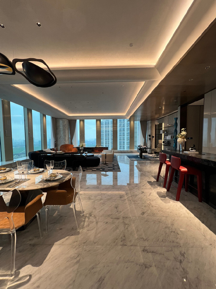 霸道总裁的大平层