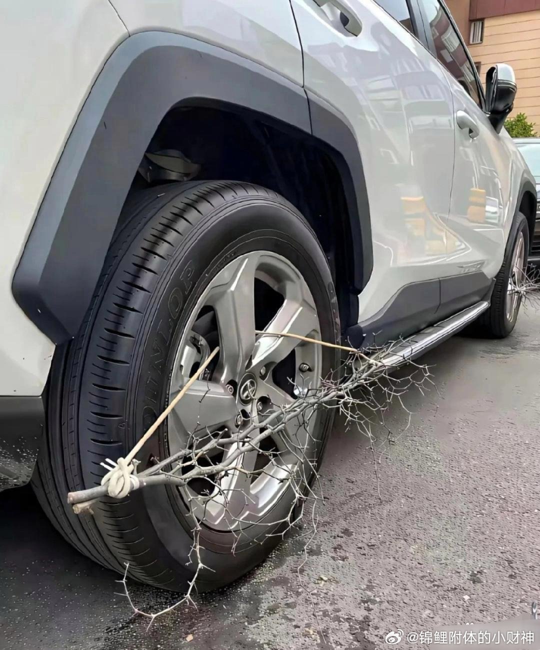 车主也是煞费苦心呀！这波操作，无奈又好笑