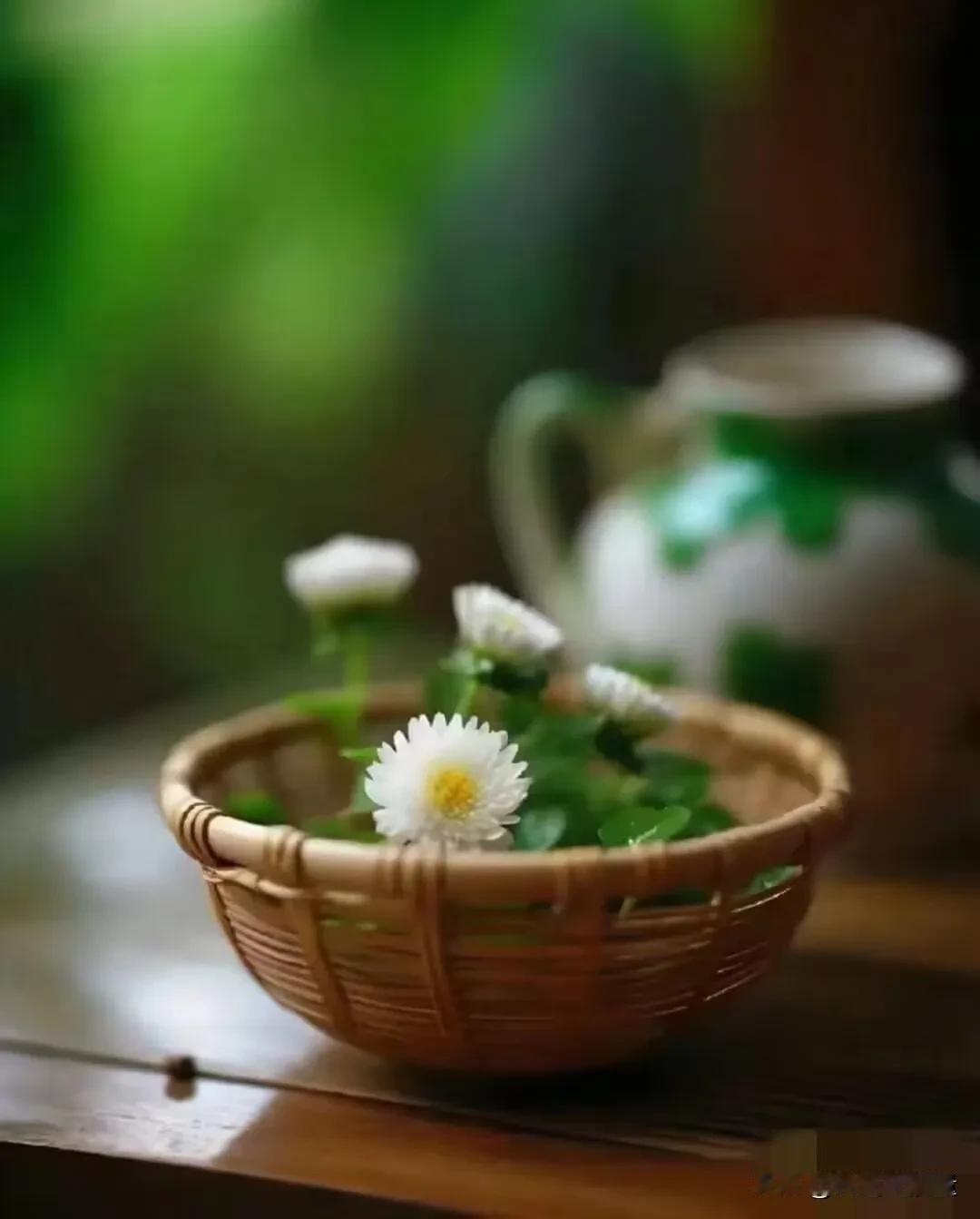 令人清醒的一段话:“人，一定要少买，真的攒钱的秘诀，说白了就俩字：少买。