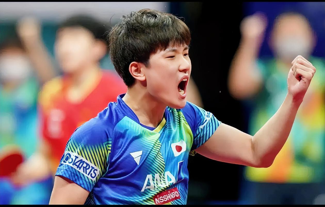 说实话，那个只会“嗷嗷叫”的张本智和其实不可怕，现在这个一声不吭的张本，才真让人