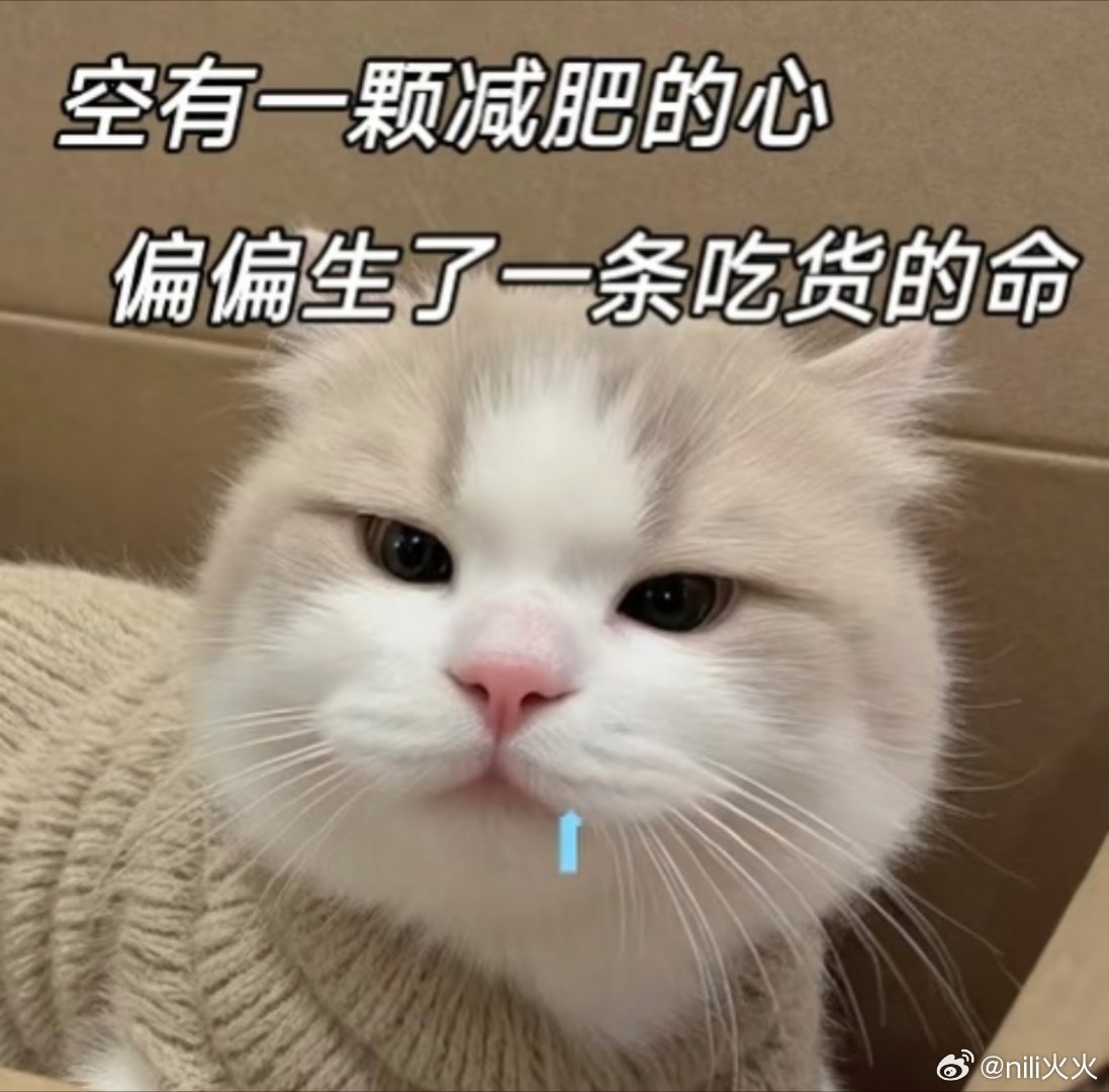 晚餐菜色交流，你晚上吃什么？为啥吃了饭之后，还能吃下两碗凉粉、一碗凉糕。。。上辈